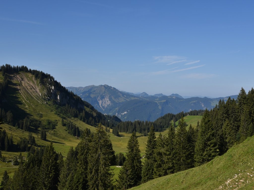 Ausblick auf der Alpe Sammere